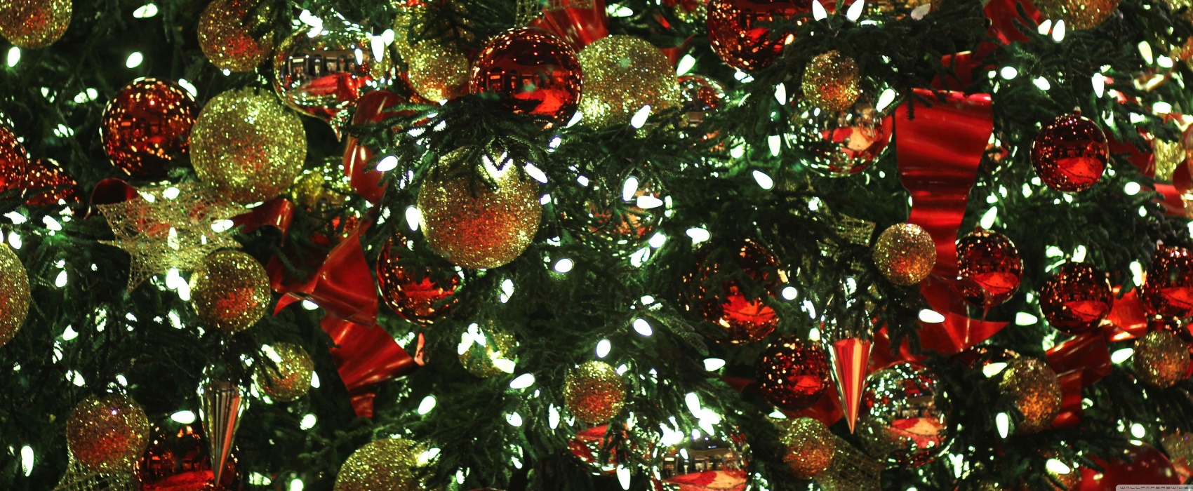 Christmas Opening Hours