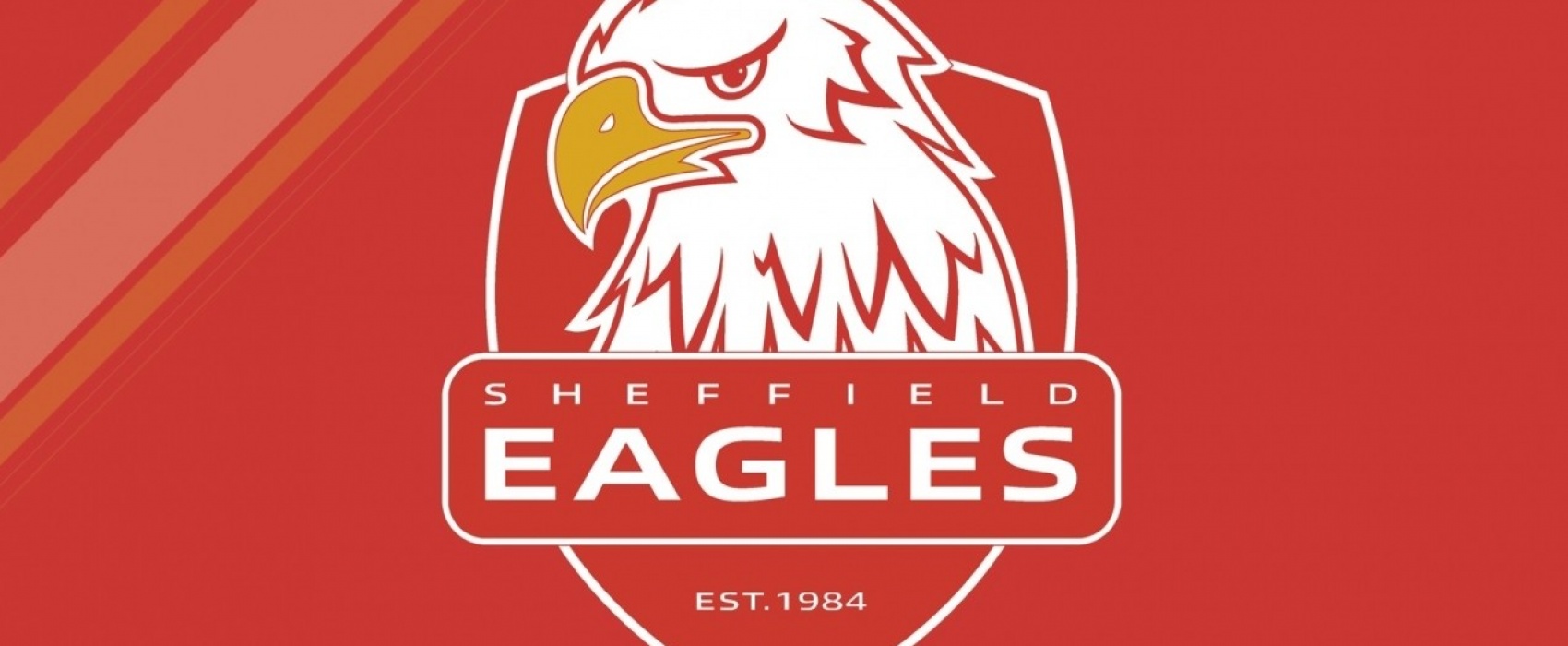 Getting To Know You: Mick Heys - Eagles Physio