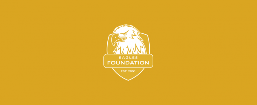 Job Advert | Disability Inclusion Officer | The Eagles Foundation